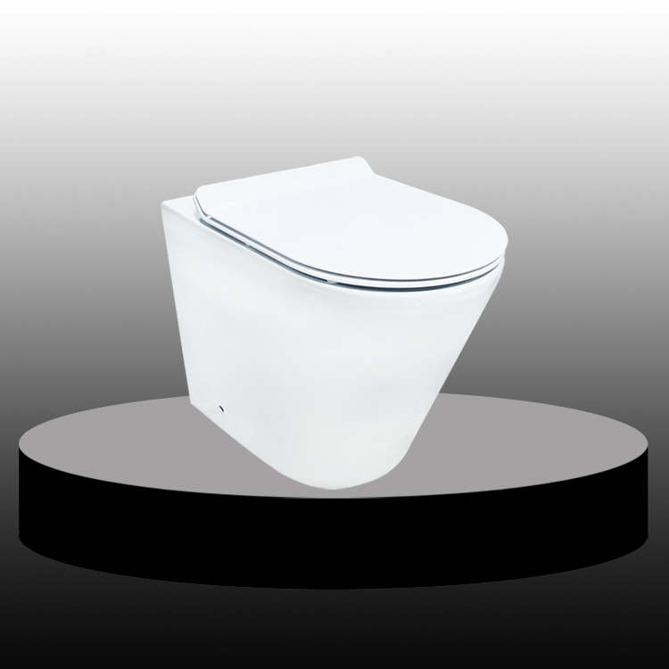 European Conceal Cistern Wall Hung Toilet