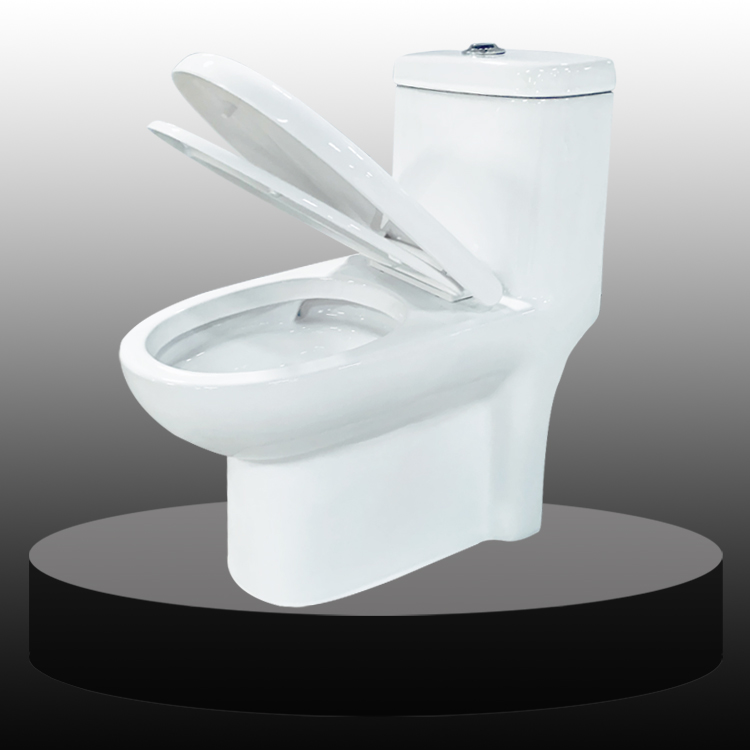China Ceramic One Piece Toilet