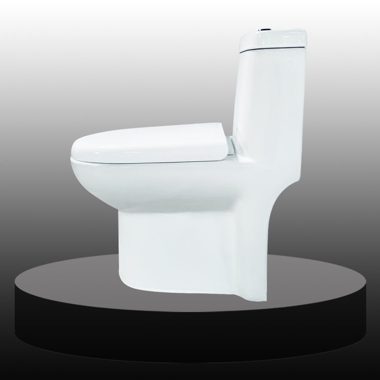 Ceramic One Piece Toilet
