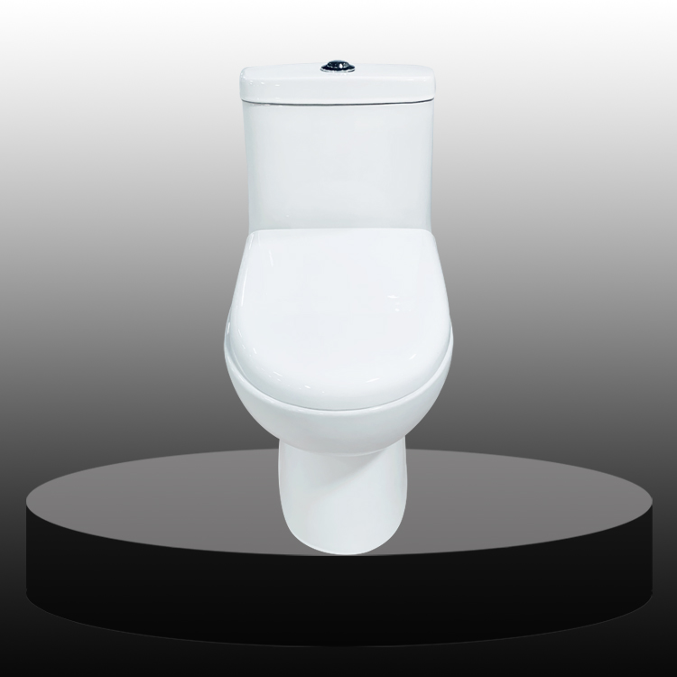 buy Ceramic One Piece Toilet