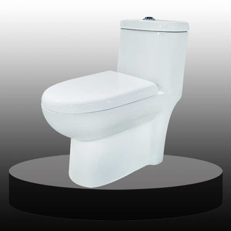 Ceramic One Piece Toilet