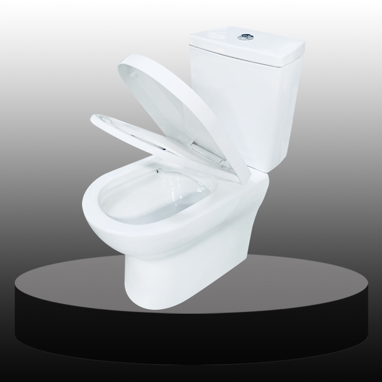 S-trap Washdown Two Piece Toilet