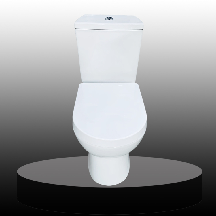 S-trap Washdown Two Piece Toilet