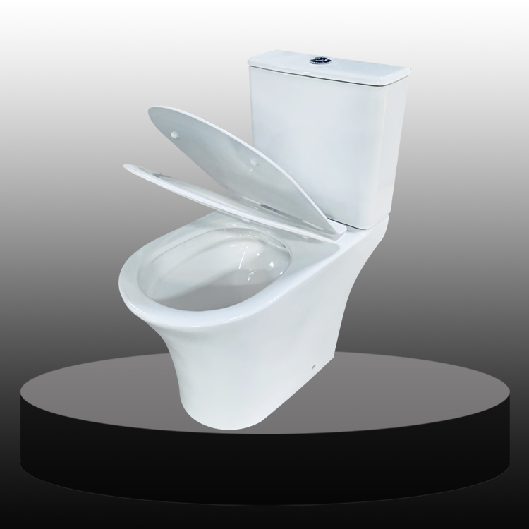 Classic Design Ceramic Washdown Two Piece Toilet