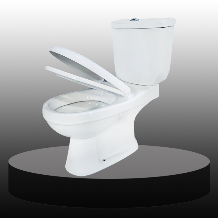Bathroom Ceramics Two Piece Toilet