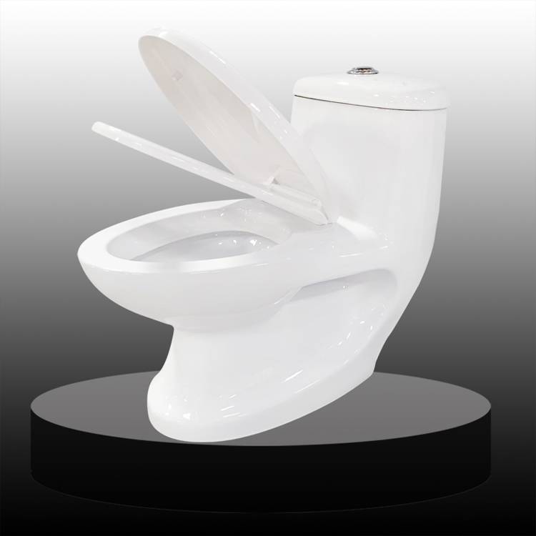 Ceramic Washdown One Piece Toilet