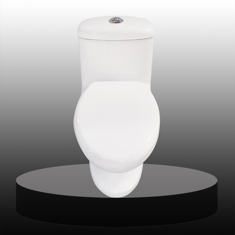 Ceramic Washdown One Piece Toilet