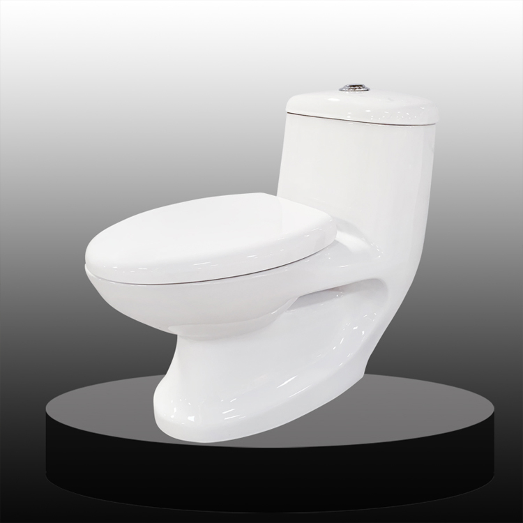 Ceramic Washdown One Piece Toilet