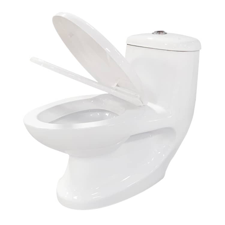 Ceramic Washdown One Piece Toilet