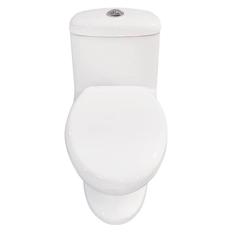 Ceramic Washdown One Piece Toilet