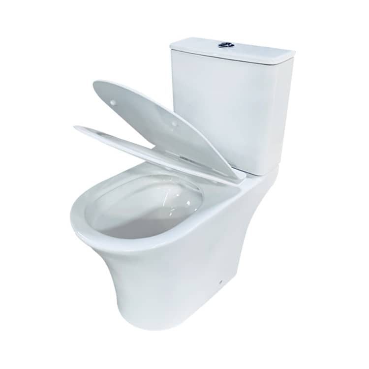 Classic Design Ceramic Washdown Two Piece Toilet