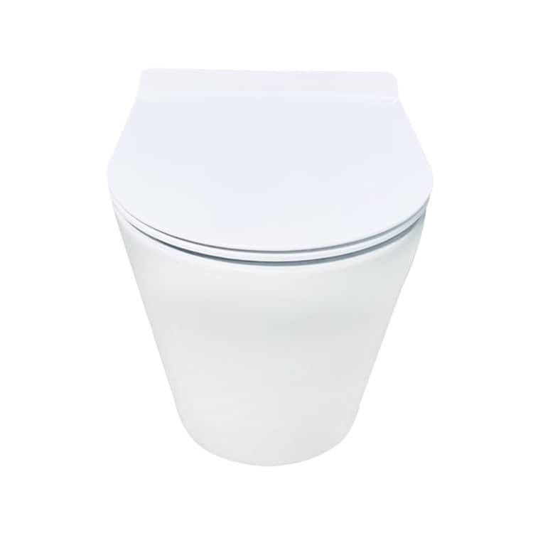 European Conceal Cistern Wall Hung Toilet