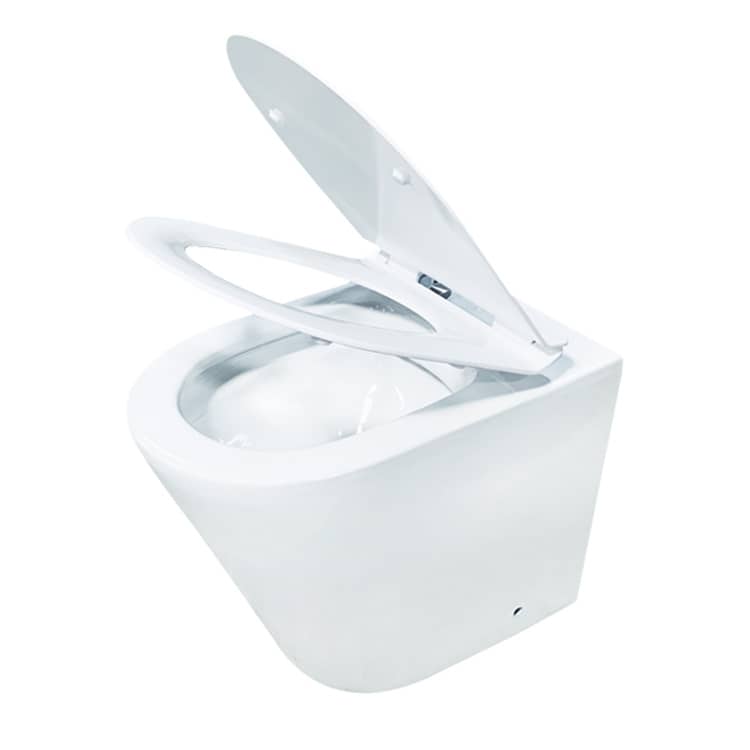 European Conceal Cistern Wall Hung Toilet