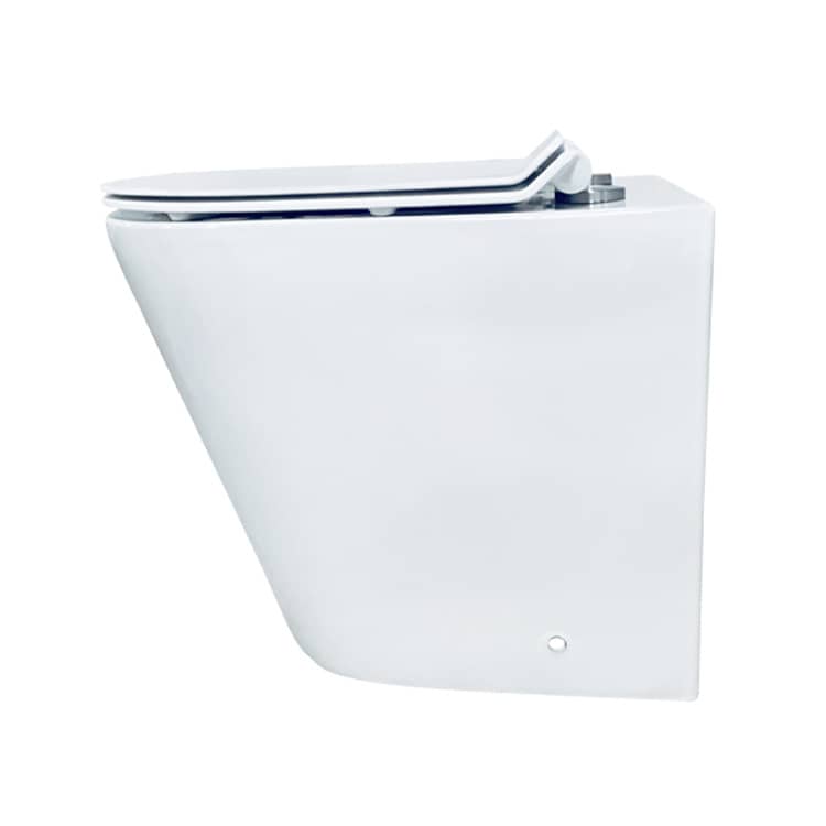 European Conceal Cistern Wall Hung Toilet