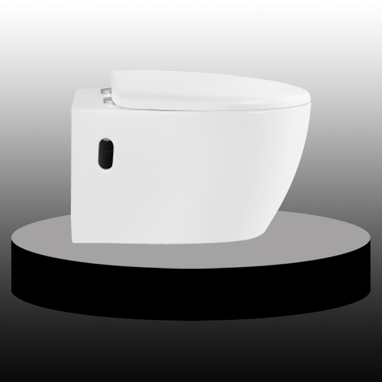Rimless Back To Wall HungToilet