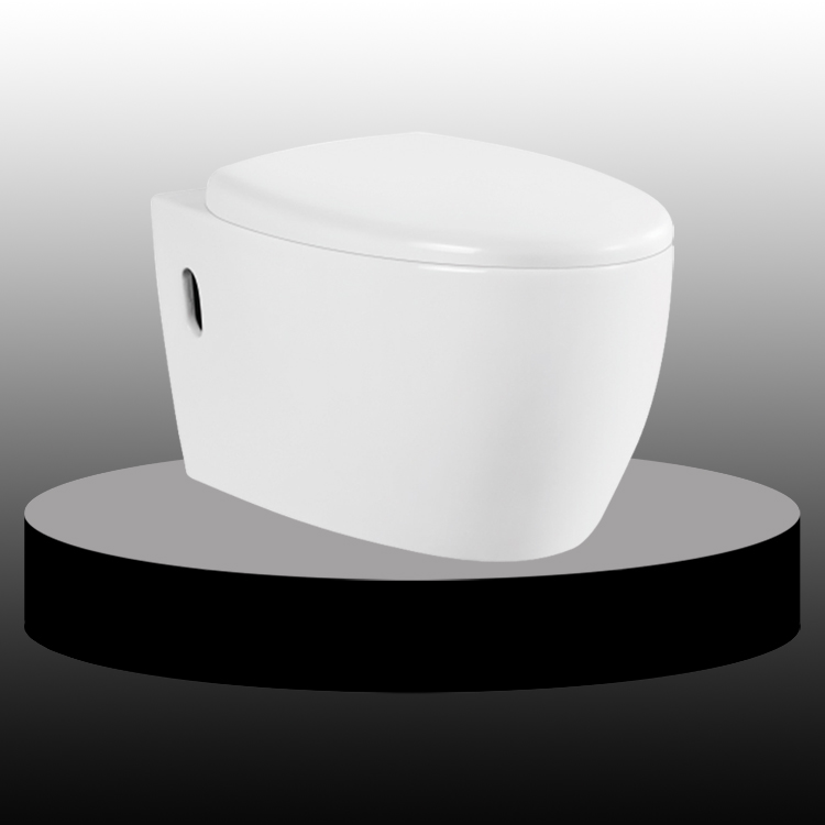 Rimless Back To Wall HungToilet