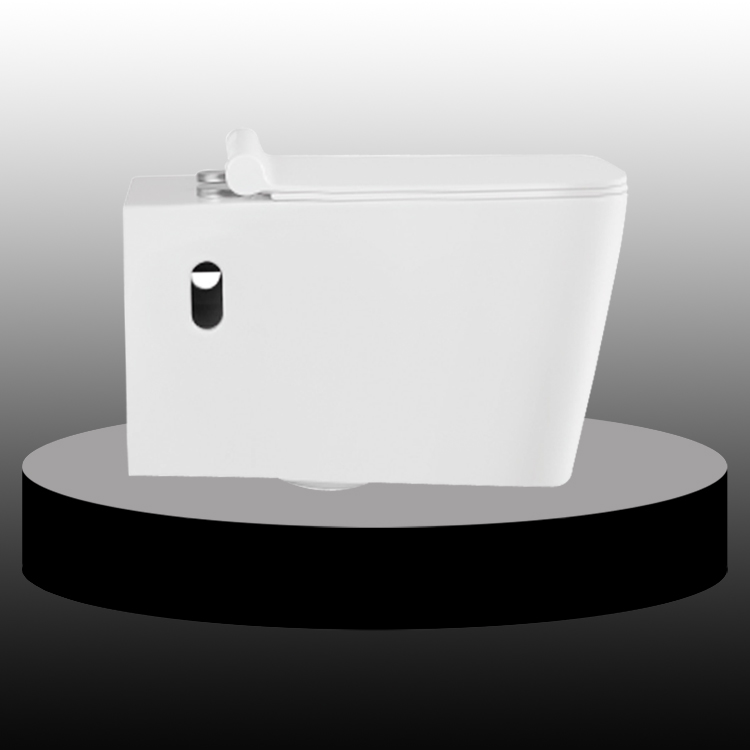 Compact Design Wall Hung Toilet