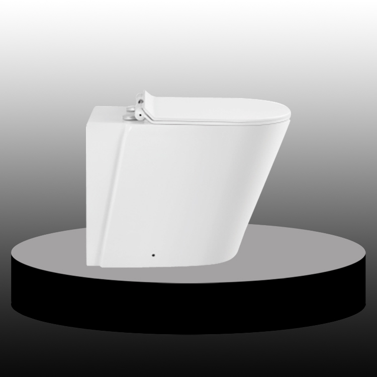 Modern Round Mounted Washdown Wall Hung Toilet