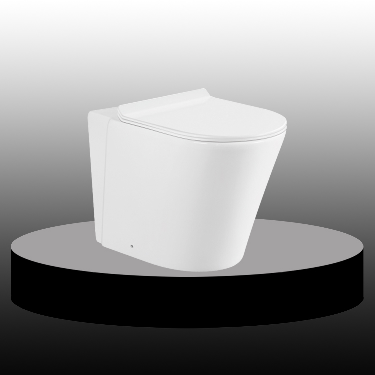 Modern Round Mounted Washdown Wall Hung Toilet