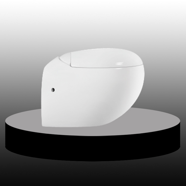 Egg Shape Wall Hung Toilet