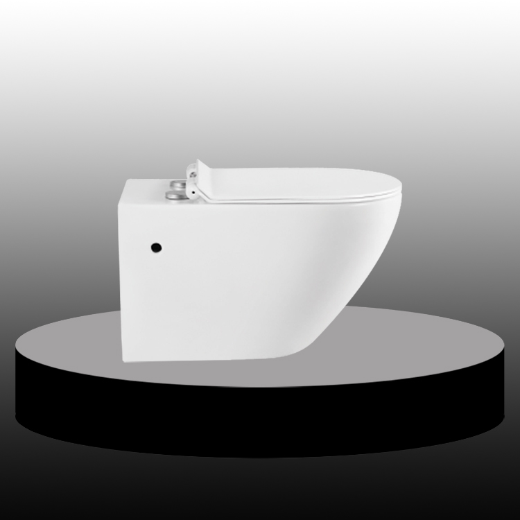 Eddy Double Hole Wall Hung Coloset
