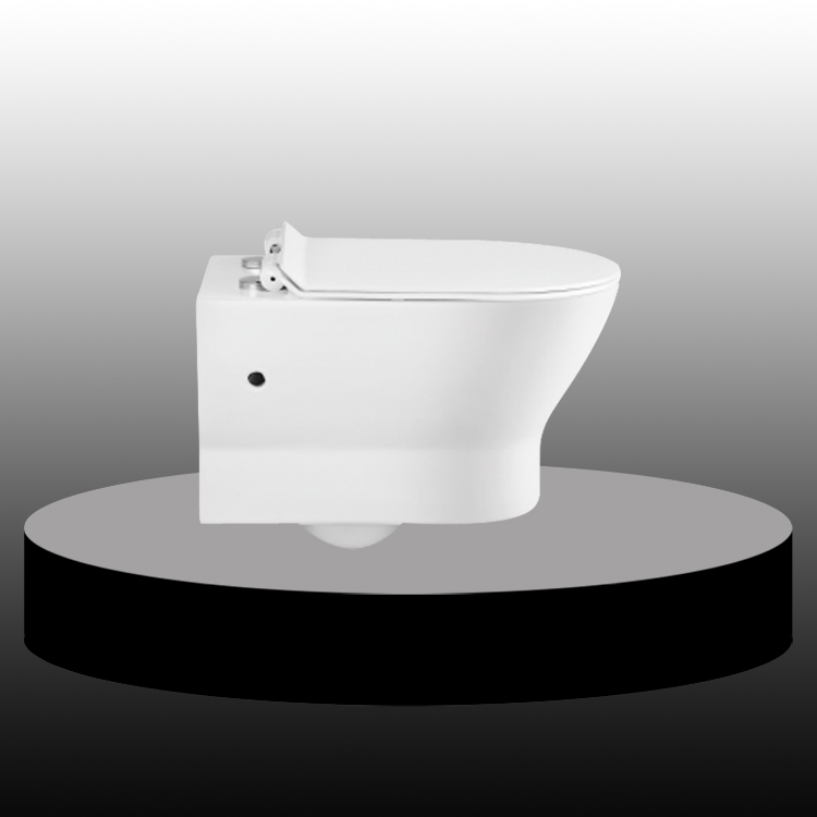 Collision Type Flush Wall Hung Toilet