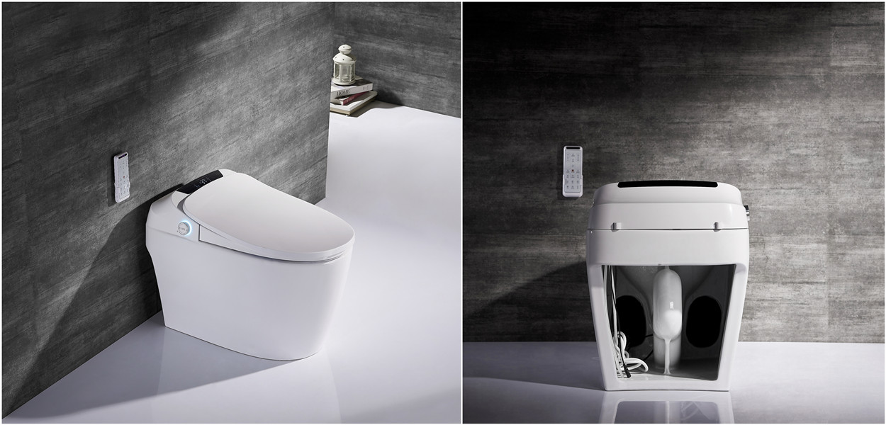 Intelligent Toilet Bidet