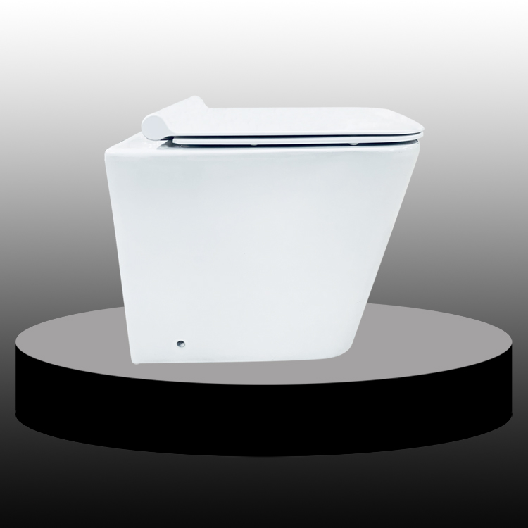 Square Washdown Floor Mounted Wall Hung Toilet