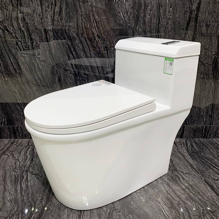 Luxury One Piece Toilets