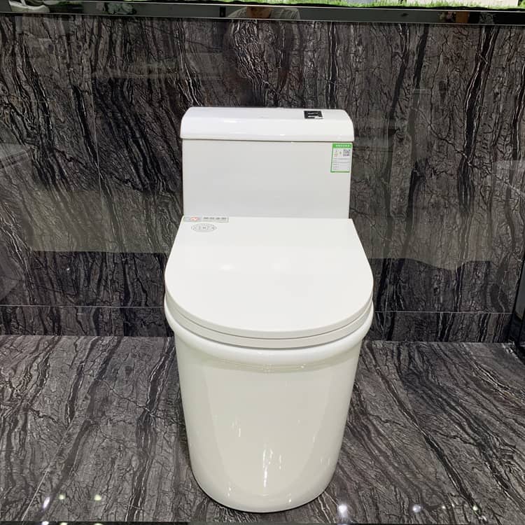 Luxury One Piece Toilets
