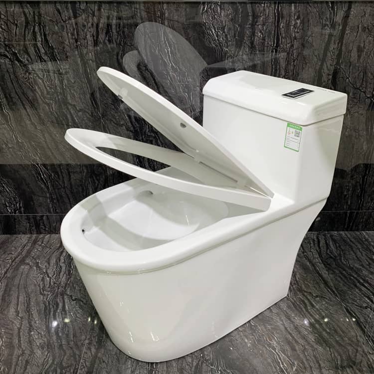 Luxury One Piece Toilets