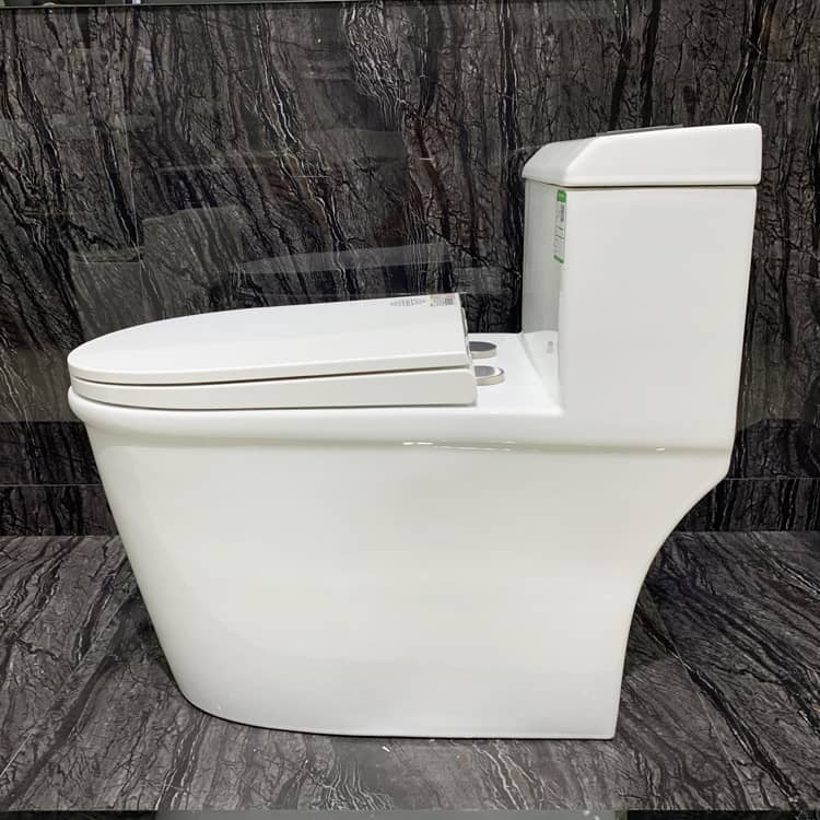 Luxury One Piece Toilets