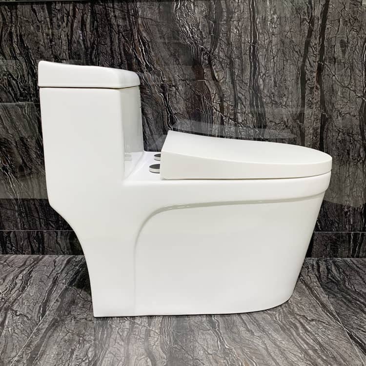 Siphonic Jet Flushing One Piece Toilets