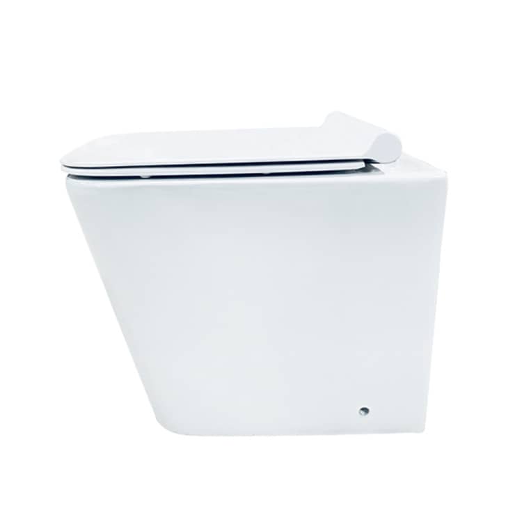 Square Washdown Floor Mounted Wall Hung Toilet