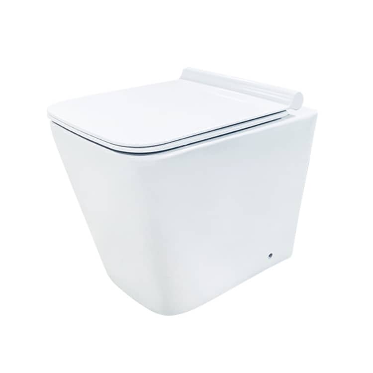 Square Washdown Floor Mounted Wall Hung Toilet