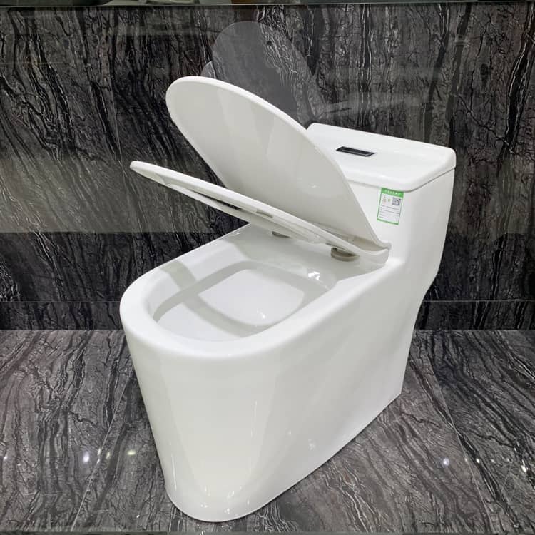 Submarine One Piece Toilets