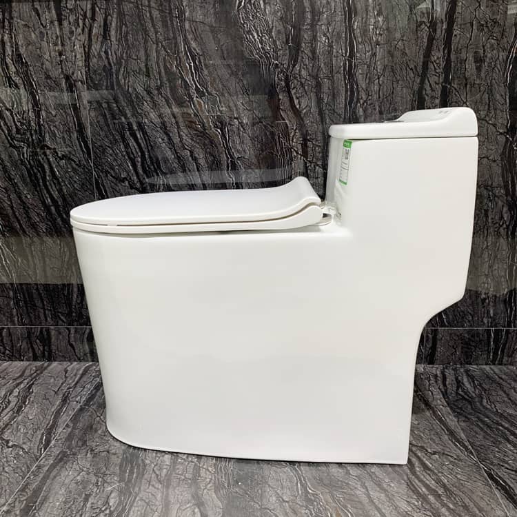 Submarine One Piece Toilets
