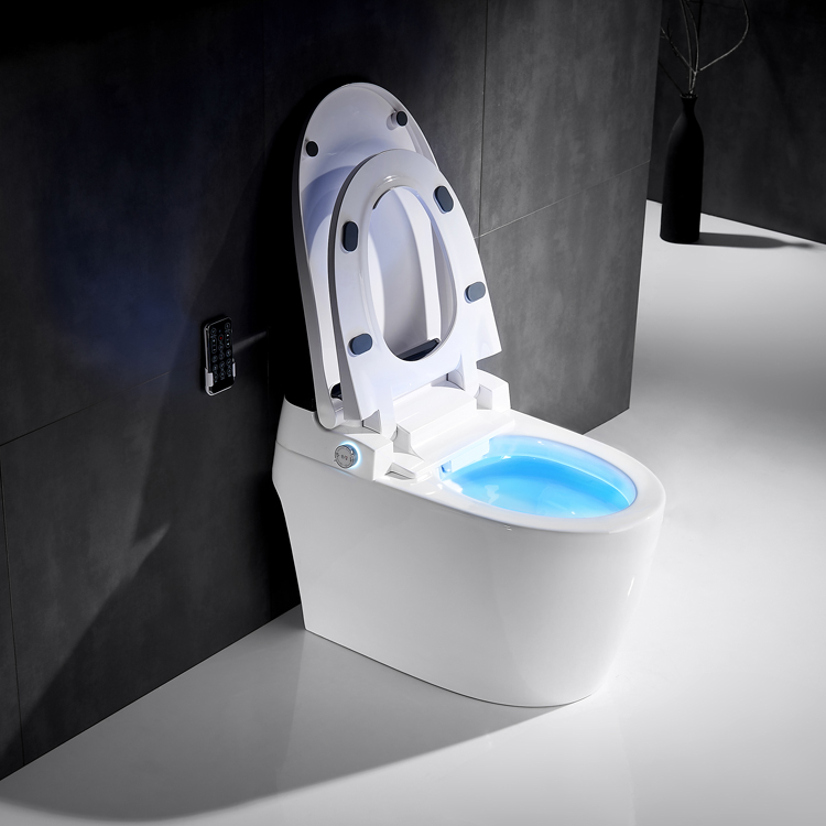 The Best Intelligent Toilet
