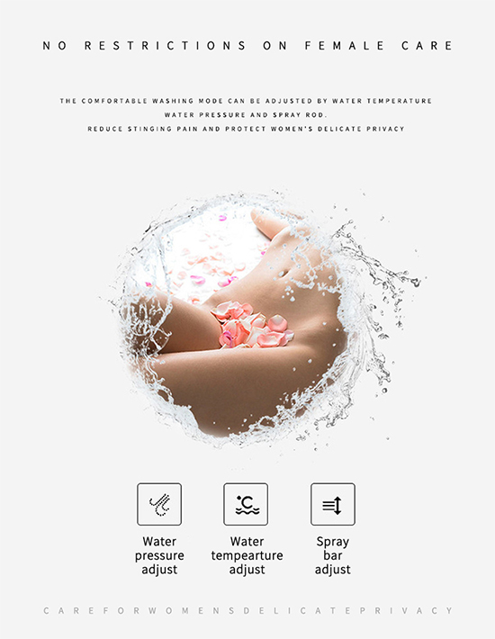 Intelligent Toilet Bidet