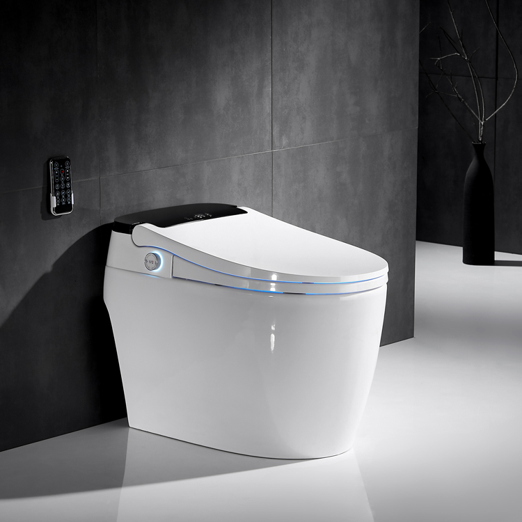 The Best Intelligent Toilet
