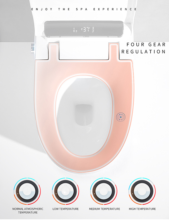 Intelligent Toilet Bidet