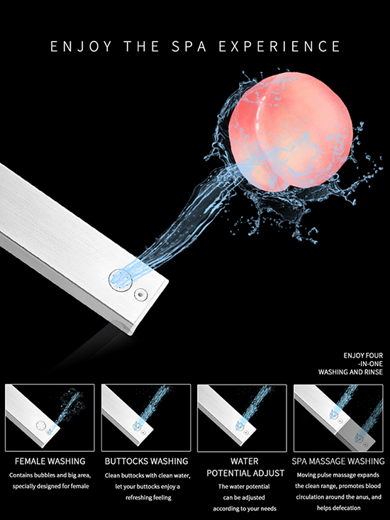 Intelligent Toilet Bidet