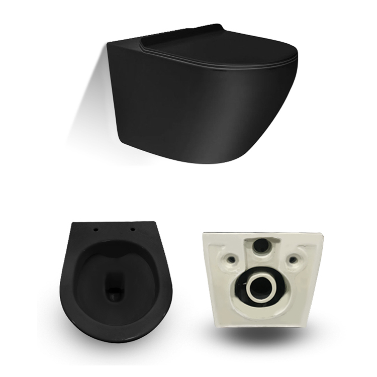 Eddy double hole wall hung toilet