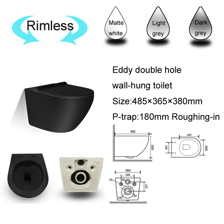 Eddy double hole wall hung toilet
