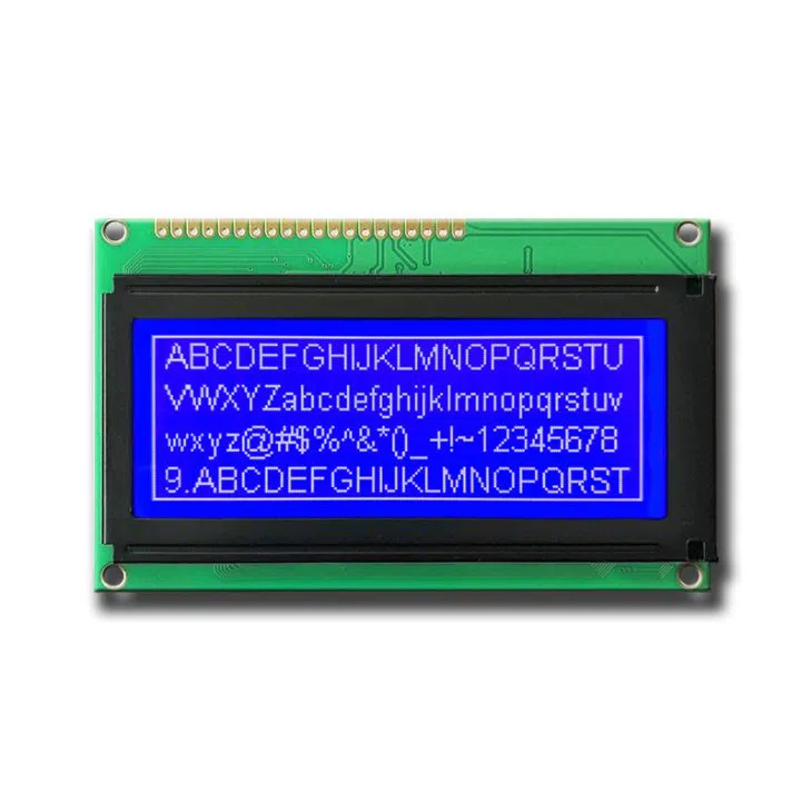 Graphic LCD Module