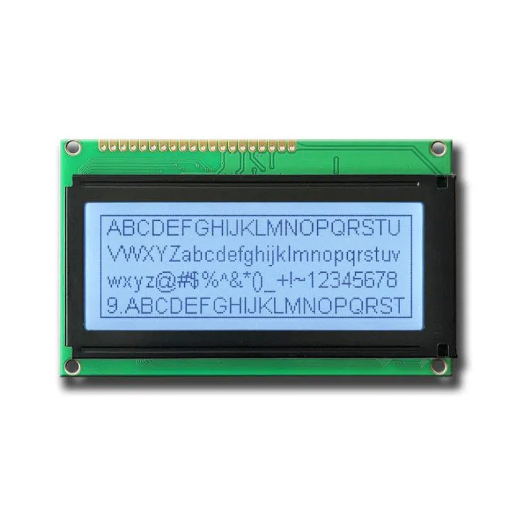 Graphic LCD Module