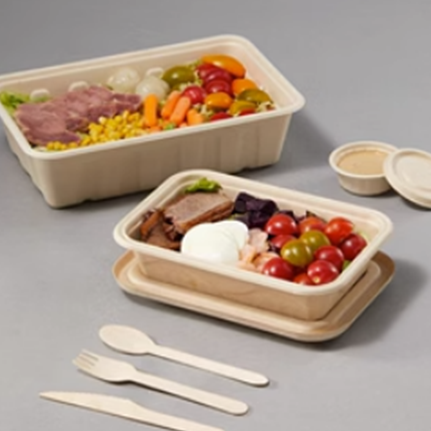 China disposable tableware Manufacturer