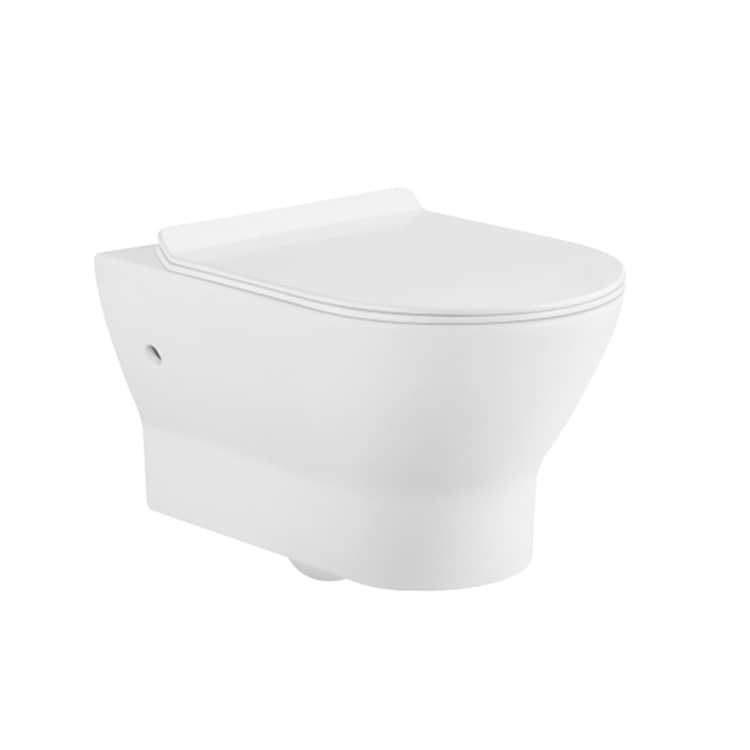 Collision Type Flush Wall Hung Toilet