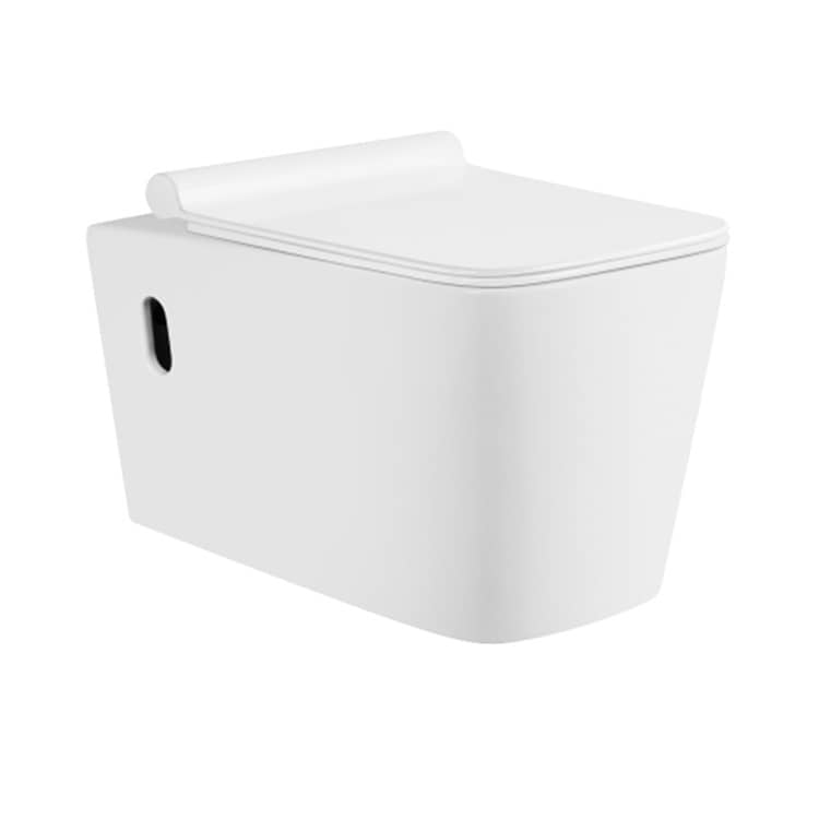 Compact Design Wall Hung Toilet