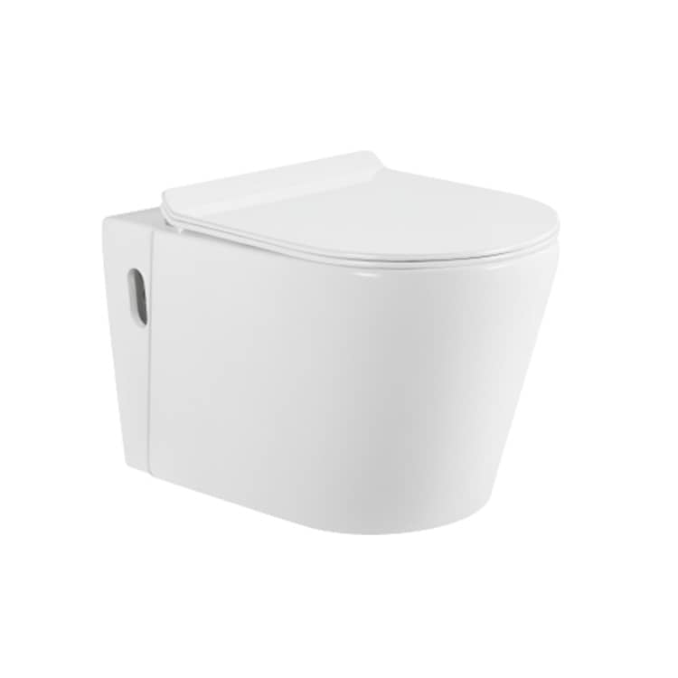 Concealed Cistern Wall Hung Toilet